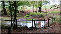 One of a series of man-made ponds in the valley below Naish Farm in BS20 7RH