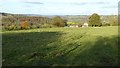 View from above Woodchester in GL5 5HE