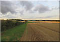 Edge of field northwards in Exton Ward