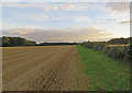 Edge of field southwards in Exton Ward