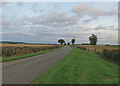 Exton Road towards Empingham in LE15 8BA