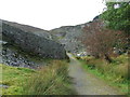 Path Through Old Quarry in LL24 0RN