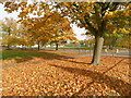 Autumn on Plumstead Common in SE18 2RT