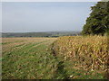 Stubble field near Boarhunt in PO17 6NA