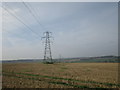 Pylons above Whitedell Farm in PO17 6NA