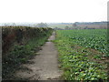 Footpath to Spurlings Farm in PO17 5BL