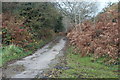 Lane below Mynydd Machen in NP11 6DR