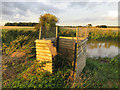 Wooden structure next to pond in Exton Ward
