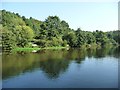 Fishing spots and floating pennywort, River Weaver in Winsford