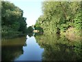 The River Weaver, between Winsford's two bridges in Winsford
