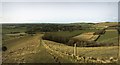 Looking west from Giants Grave, above Oare, Wiltshire in SN8 4HX