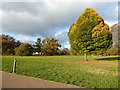 Autumn colours - Westonbirt Arboretum in GL8 8QS
