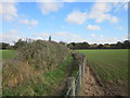 Finstall Hedge,Footpath & Field in B60 3GW