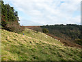 Hill slope above valley of Nant Hafod-tudor in Ynysddu Community