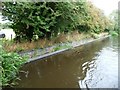 Brick overflow weir, north bank, Montgomery Canal in SY10 8JF