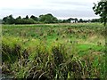 Field with a pool, Maesbury Marsh in SY10 8JF
