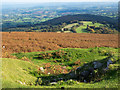 Bracken slope descending on south-east side of Blorenge in Llanfoist Fawr Community