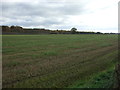 Farmland off Manchester Road (A50) in WA16 0TA