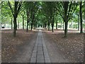 View down the nave of the Tree Cathedral in MK15 9JY