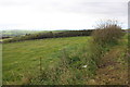 Field on south side of A35 in DT2 9AG