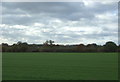 Farmland near King Street Farm in CW10 9LA