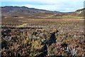 Heather moor, An Suidhe in PH16 5ND