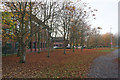 Fall of leaves by Dewhurst Road in WA1 4RW