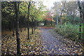 Path junction in Birchwood Forest Park in WA3 6PL
