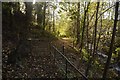 Gate at the foot of the Mill Glen in FK13 6ER