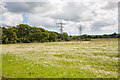 Field and pylons south of Belmont Copse, nr Wootton Common in PO30 2NB