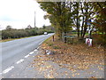 Looking west on Staplefield Road from junction with Cleaver's Lane in Ansty and Staplefield