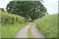 Bridleway to Stutton Mill in IP9 2TH