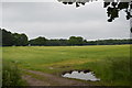 Farmland near Stutton Mill in IP9 2TH