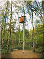 Bat Box in the Woods in GU25 4JR