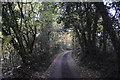 Teignbridge : Country Lane in EX6 6QE