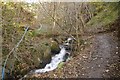 Path and bridge, Mill Glen in FK13 6ER