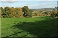 Countryside near Mamhead in EX6 8HP