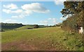 Pasture above Larkbeare Farm in EX6 8HP