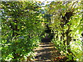 Path in the churchyard, Fenstanton in CB24 4ST