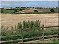 Leicestershire Farmland in Hungarton