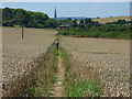 Footpath through wheat, Clarendon Park in SP5 3HA