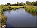The River Nadder, Bemerton in SP2 9AR