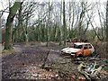 Burnt out cars, Coghurst Wood in TN35 4JJ