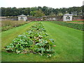Pavilions in the Walled Gardens, Stackpole in SA71 5DE