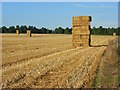 Harvested farmland, Great Durnford in SP4 6AZ