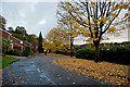 Ruskin Way in the autumn in WA16 8DX