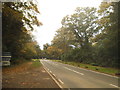 Station Road, Mimbridge in GU24 8PE