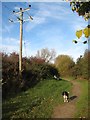 Footpath with bench and pole in Kinmel Bay and Towyn Community