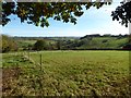 Farmland near Stoke Lacy in HR7 4RG