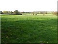 Farmland near Pencombe in HR7 4SW